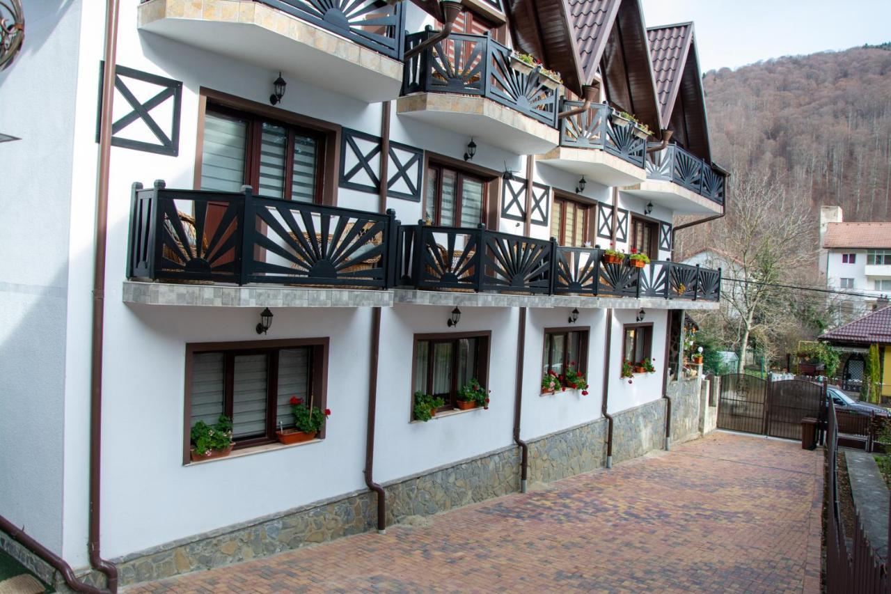 Casa Albert Sinaia Zewnętrze zdjęcie