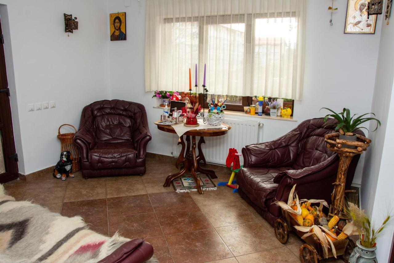 Casa Albert Sinaia Zewnętrze zdjęcie