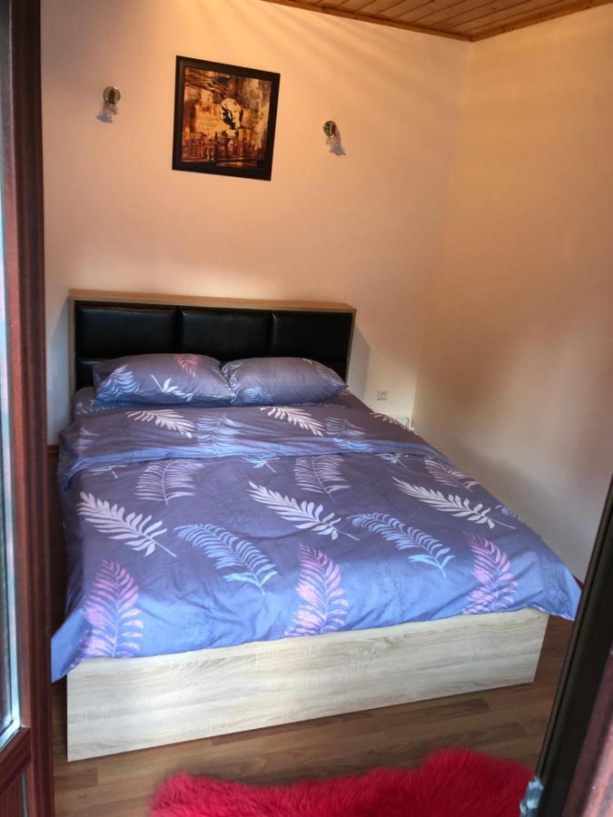 Casa Albert Sinaia Zewnętrze zdjęcie